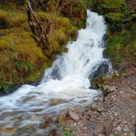 Rosies Maum غالواي