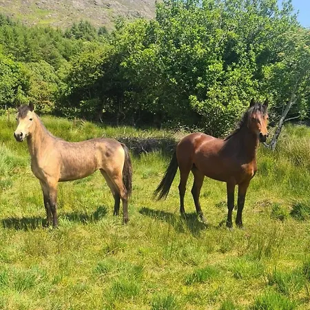 Holiday home Rosies Maum *